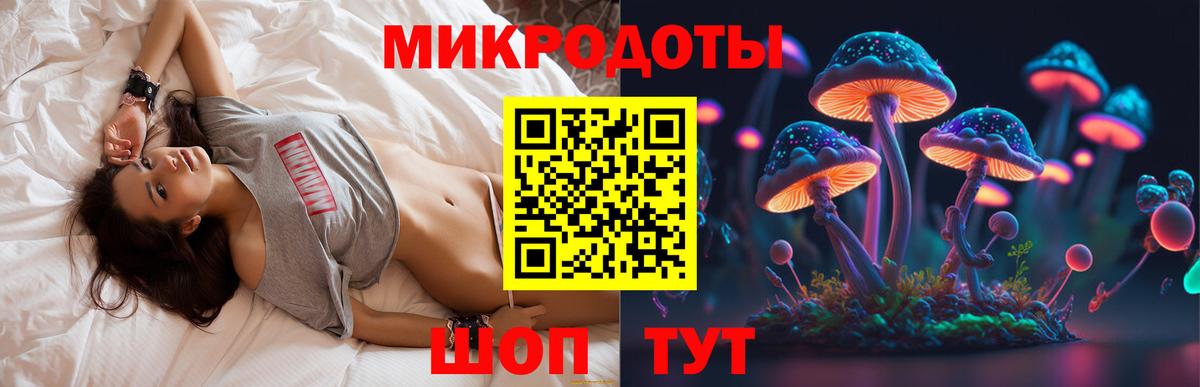 Псилоцибиновые грибы Psilocybe  Вход с VPN  наркота  Воркута  Галлюциногенные грибы Psilocybe 